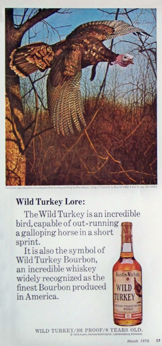 Wild Turkey 