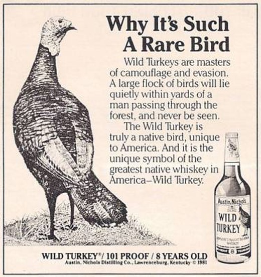 Wild Turkey