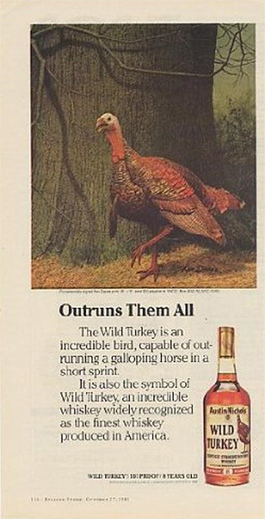 Wild Turkey