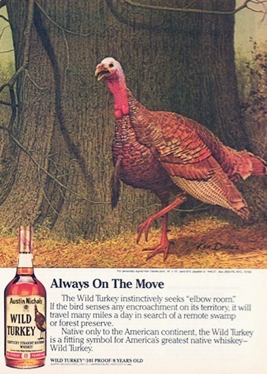 Wild Turkey