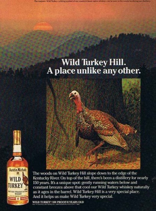 Wild Turkey